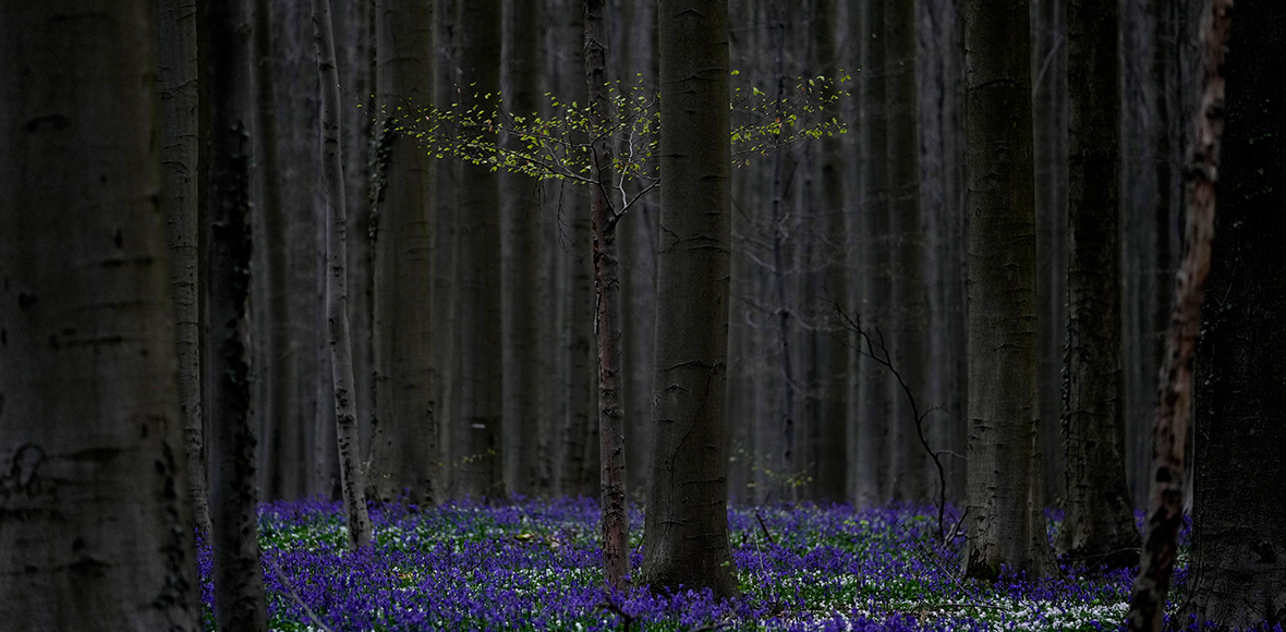 Κόντρα στους καιρούς