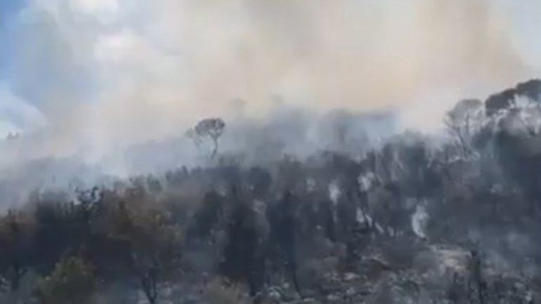 Πυρκαγιά σε δασική έκταση στα Μέγαρα Αττικής