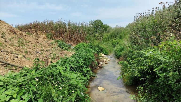 Εταιρεία στην Πιερία έριχνε συστηματικά χιλιάδες τόνους αποβλήτων στον Θερμαϊκό Κόλπο