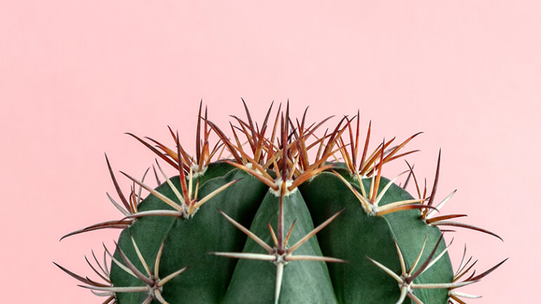 Αιμορροΐδες: Ένα «μικρό-μεγάλο» πρόβλημα