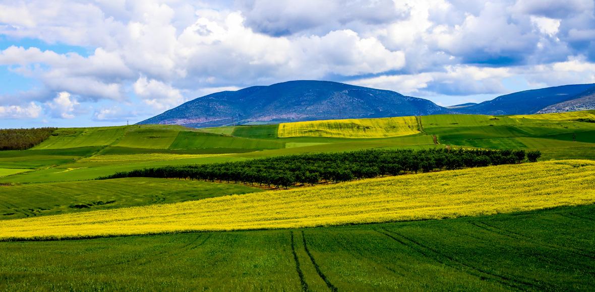 Η φύση οργιάζει στη Θεσσαλία
