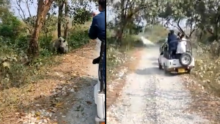 Tουρίστες αντιμέτωποι με μαμά ρινόκερο 