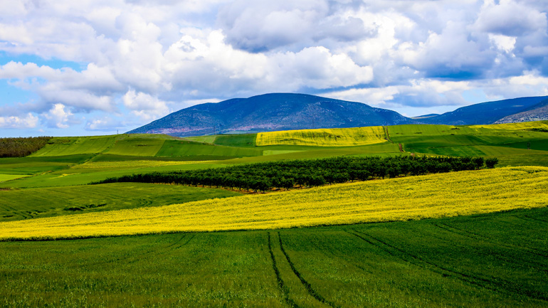 RTL: Η Ελλάδα μεταξύ των ταξιδιωτικών προορισμών που επιλέγει η γαλλόφωνη κοινότητα για τις διακοπές της άνοιξης