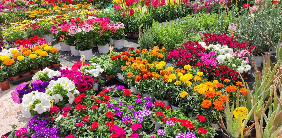 Γέμισε χρώματα το Άλσος Νέας Σμύρνης