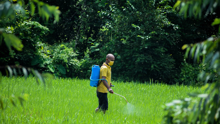 ΕΕ: Ο Οργανισμός Περιβάλλοντος ζήτησε να μειωθεί η χρήση παρασιτοκτόνων