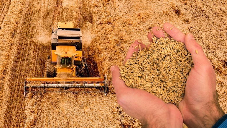 Η Μόσχα ζητά την πλήρη εφαρμογή της συμφωνίας της Μαύρης Θάλασσας για τη μεταφορά σιτηρών