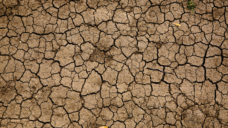 Κλιματική αλλαγή: Ξηρασία – ρεκόρ στο Κέρας της Αφρικής