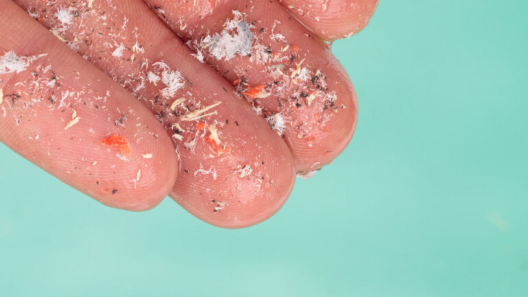 Τα πλαστικά σωματίδια επηρεάζουν τις ορμόνες του φύλου