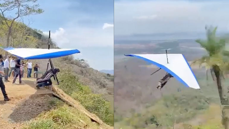 Υπήρχε μόνο ένας φοίνικας