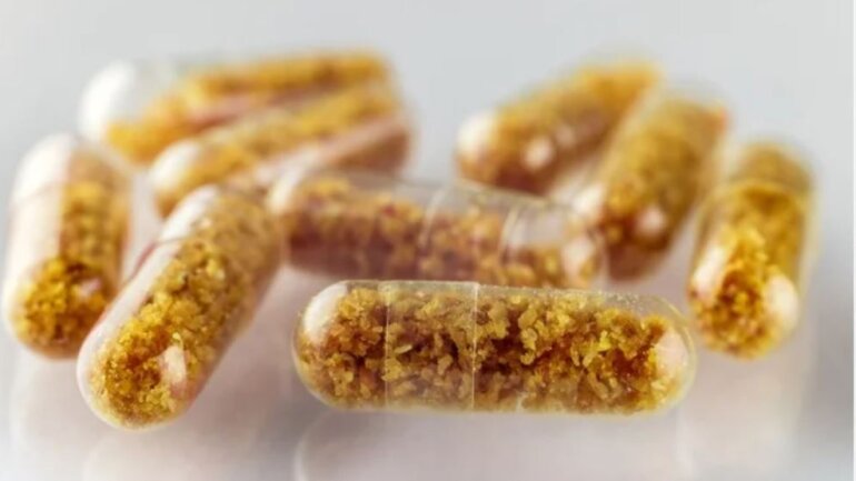 Ο FDA ενέκρινε το πρώτο χάπι μεταμόσχευσης κοπράνων