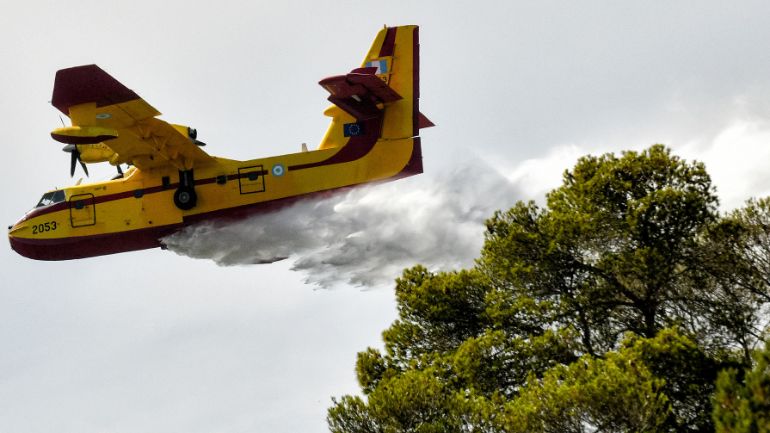Πυρκαγιά σε δασική έκταση στην Μαυροσουβάλα Ωρωπού