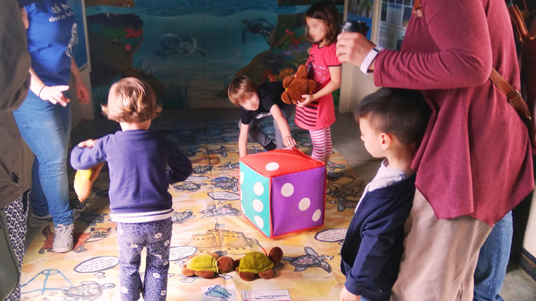 Η «Γιορτή της Θαλάσσιας Χελώνας» στο Κέντρο Διάσωσης «ΑΡΧΕΛΩΝ» στη Γλυφάδα