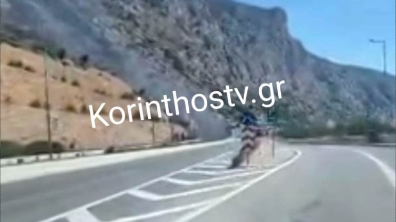 Φωτιά σε αυτοκίνητο μέσα στο τούνελ της Κακιάς Σκάλας