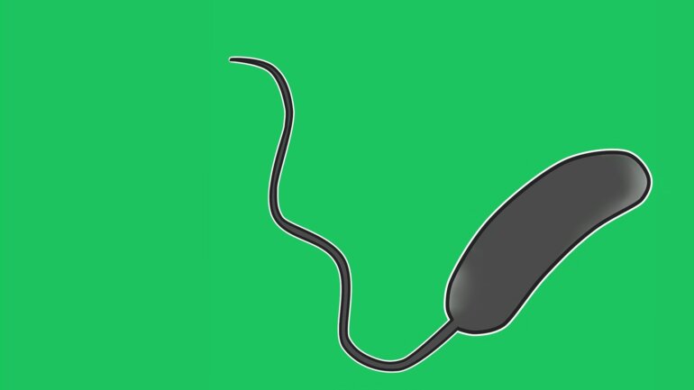 Οι επιστήμονες προειδοποιούν για αύξηση των λοιμώξεων λόγω υπερθέρμανσης του πλανήτη