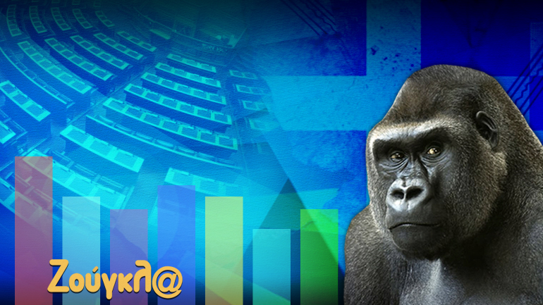 Άνοιξε η μεγάλη δημοσκόπηση της «Ζούγκλας»