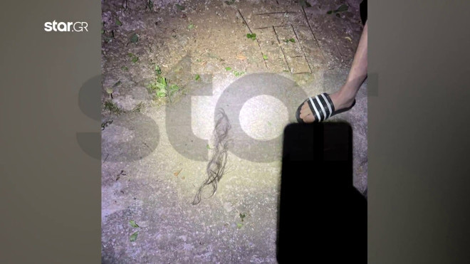 Η ηλικιωμένη μητέρα ενοίκου της πολυκατοικίας κατέβηκε να δει τι συμβαίνει όταν άκουσε τον διαπληκτισμό και ο ντελιβεράς της ξερίζωσε μια τούφα από τα μαλλιά