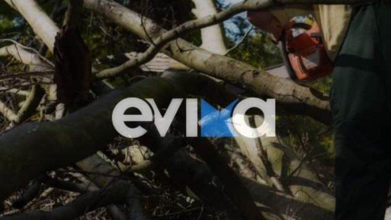 Εργατικό ατύχημα στην Βόρεια Εύβοια: Κορμός δέντρου καταπλάκωσε δασεργάτη