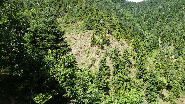 Η προσφορά της Ένωσης Αγραφιώτικων Χωριών Καρδίτσας και Ευρυτανίας στην προβολή της περιοχής Η προσφορά της Ένωσης Αγραφιώτικων Χωριών Καρδίτσας και Ευρυτανίας στην προβολή της περιοχής