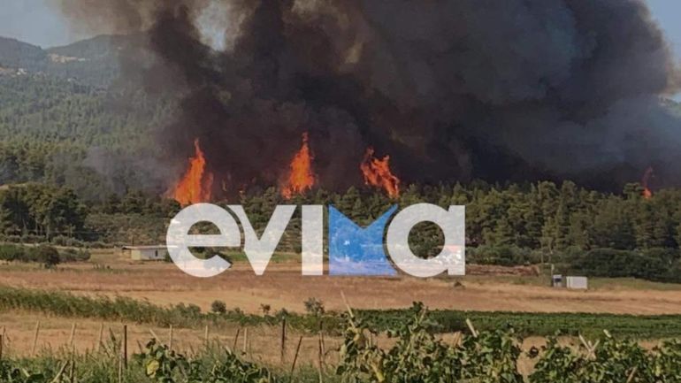 Φωτιά στην Εύβοια: Στο αυτόφωρο άνδρας για εμπρησμό