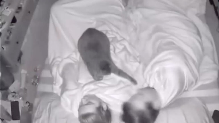 Δεν πιστεύω να κοιμάστε;