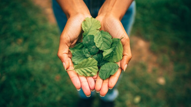 Πώς ένα ανθυγιεινό περιβάλλον προκαλεί καρδιαγγειακές παθήσεις