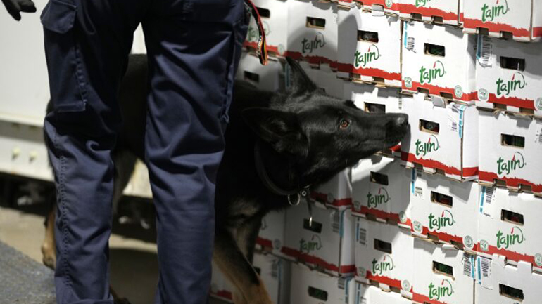 Ιταλία: Κατασχέθηκαν 3 τόνοι κοκαΐνης κρυμμένοι ανάμεσα σε μπανάνες