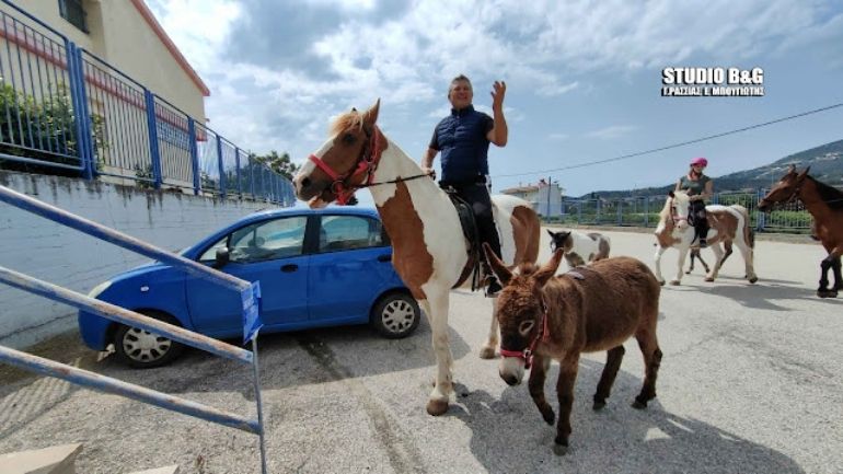 Ναύπλιο: Αγρότης πήγε σε εκλογικό τμήμα με άλογα και γαϊδούρια