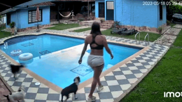 Όταν o σκύλος τρέχει δίπλα στην πισίνα