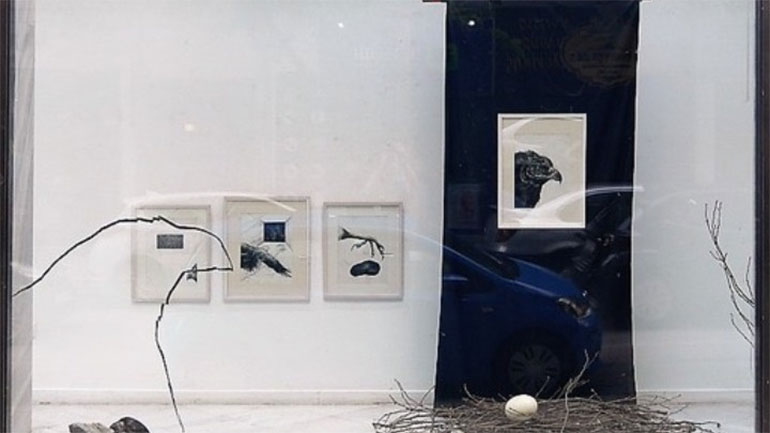 Πτηνά …«έχτισαν» φωλιές στις Βιτρίνες Τέχνης του ΟΤΕ