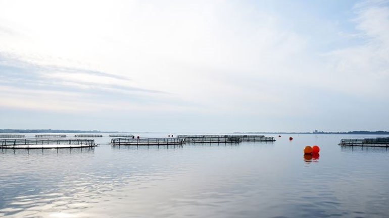 Πληρωμές 38,6 εκατ. ευρώ σε αλιείς και ιχθυοκαλλιεργητές