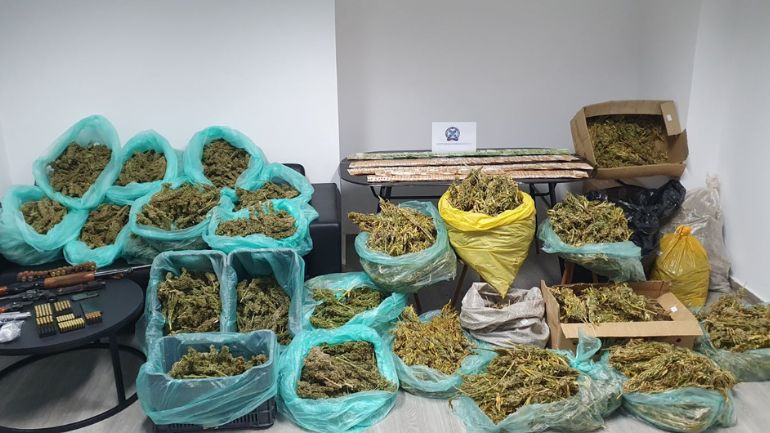 Κακουργηματικές διώξεις για τα 57 κιλά χασίς και τα θερμοκήπια με δενδρύλλια που βρέθηκαν στο Ηράκλειο