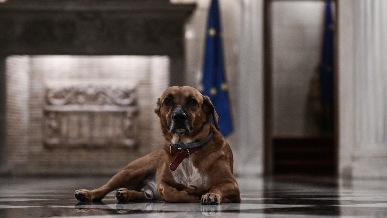 Μετακομίζει στα γραφεία της ΝΔ στην Πειραιώς ο Πίνατ