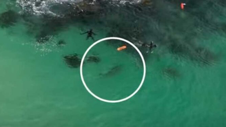 Η αγωνία στο κατακόρυφο: Η στιγμή που ο καρχαρίας πλησιάζει τον ψαρά!