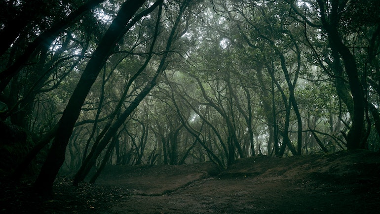 Βρέθηκε νεκρός ο 52χρονος αστυνομικός που αγνοούνταν στα Ιωάννινα
