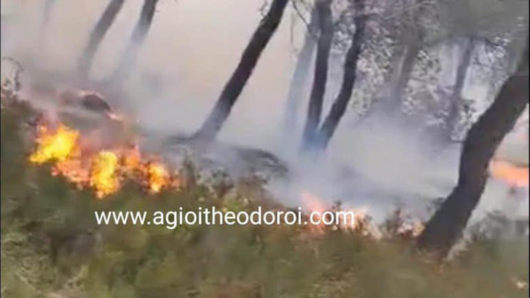 Υπό μερικό έλεγχο η πυρκαγιά σε δασική έκταση στους Αγίους Θεοδώρους Κορινθίας