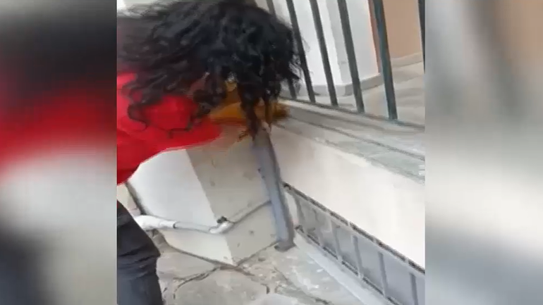 Θεσσαλονίκη: Οχιά σε σπίτι στο Πανόραμα