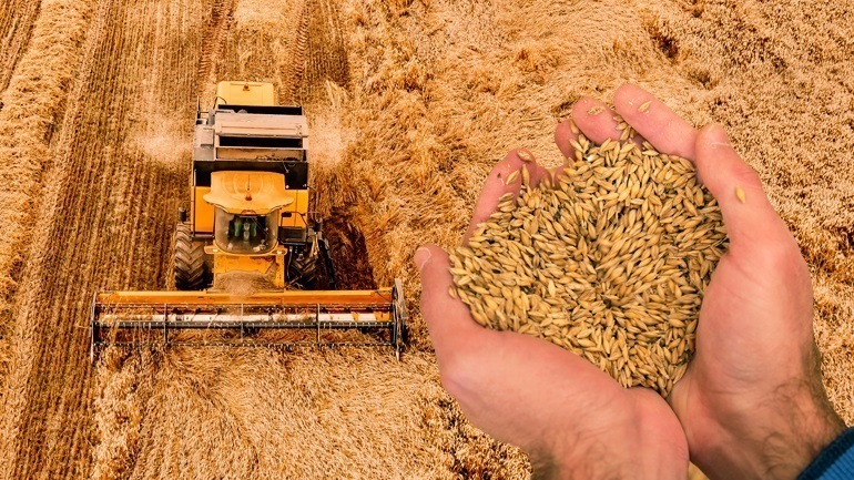 Αρχηγός FSB: Οι διάδρομοι μεταφοράς ουκρανικών σιτηρών χρησιμοποιούνται για επιθέσεις στα παράλια της Ρωσίας