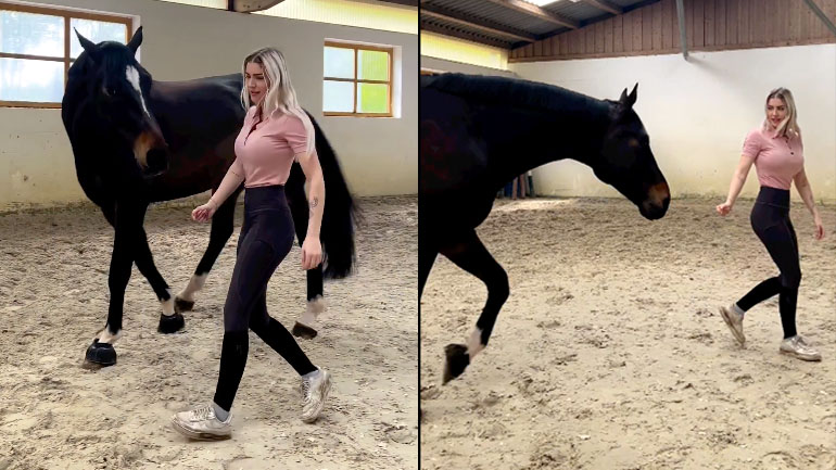 To αόρατο καπίστρι