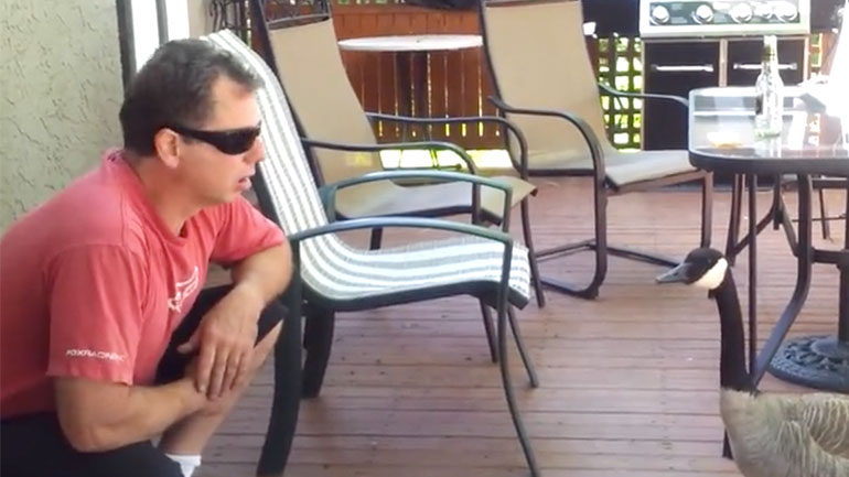 Μια εμπιστευτική συνομιλία με μια χήνα