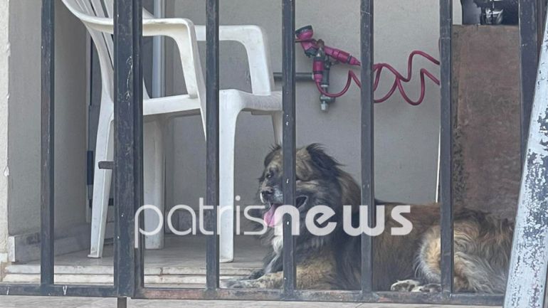 Πύργος: Ηλικιωμένη βρέθηκε νεκρή στο μπαλκόνι του σπιτιού της