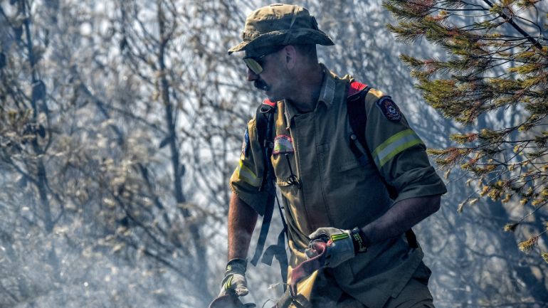 Πυρκαγιά σε δασική έκταση στο Βαρθολομιό Ηλείας