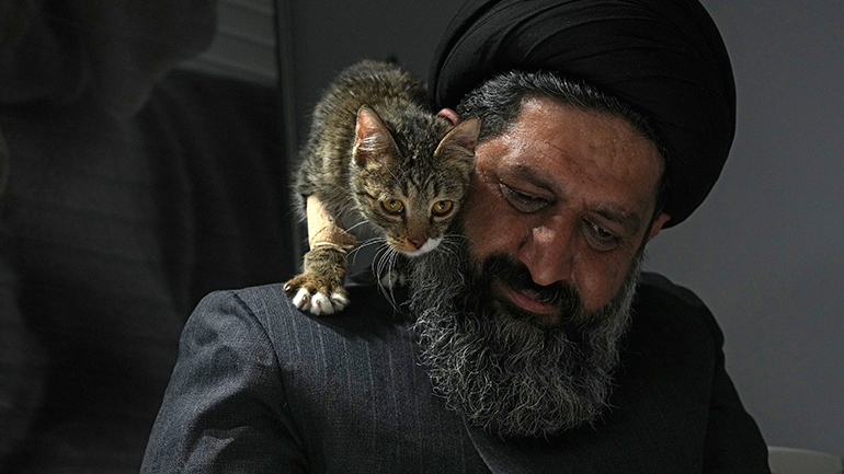 Κόντρα στο επίσημο Ιράν, ένας Σιίτης κληρικός φροντίζει αδέσποτα