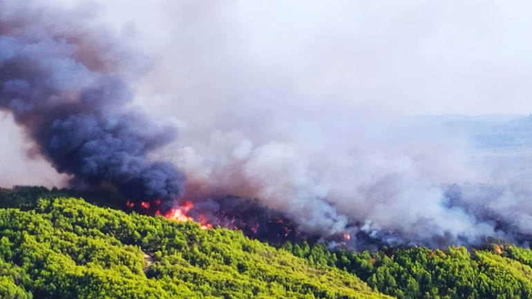 Πυρκαγιά σε δασική έκταση στο Κυψελοχώρι Λάρισας – Κινητοποιήθηκαν εναέριες δυνάμεις