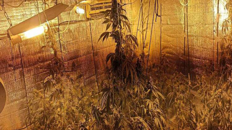 Πάτρα: Μετέτρεψε διαμέρισμα στα Ψηλαλώνια σε… χωράφι για χασίς