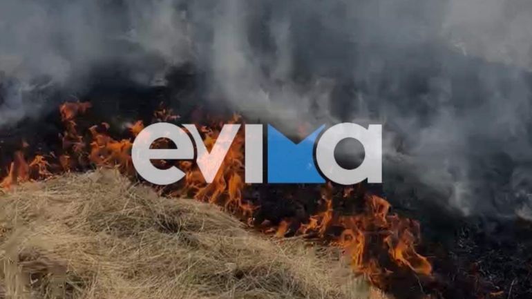 Φωτιά στην Εύβοια – Επιχειρούν 6 οχήματα με 14 πυροσβέστες