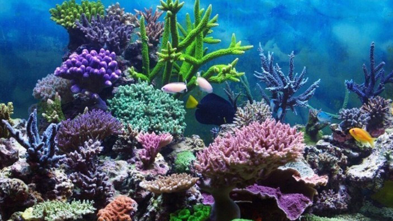 Η επιφάνεια των ωκεανών γνώρισε τον θερμότερο Μάιο που έχει καταγραφεί