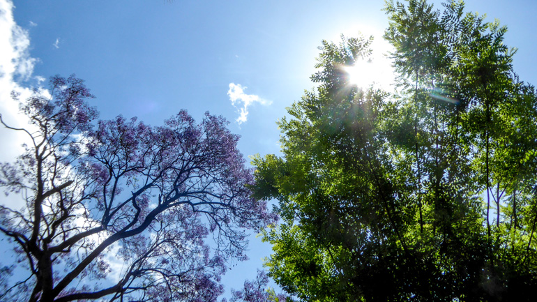 Ο καιρός σήμερα