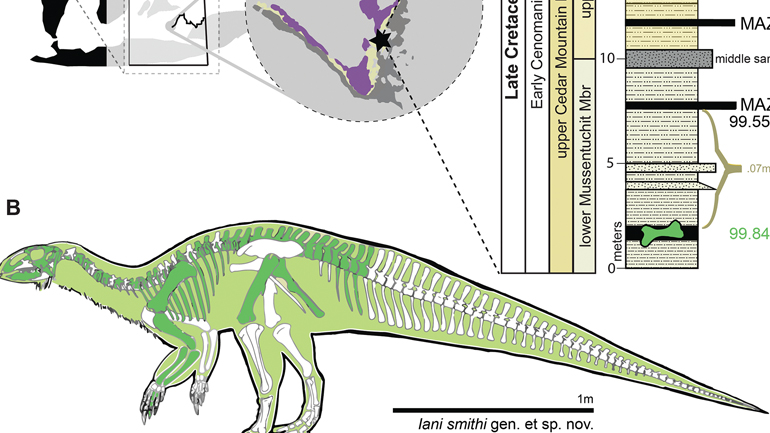 Επιστήμη: Νέο είδος δεινόσαυρου στη Γιούτα ρίχνει φως σε μία περίοδο μεγάλων περιβαλλοντικών αλλαγών