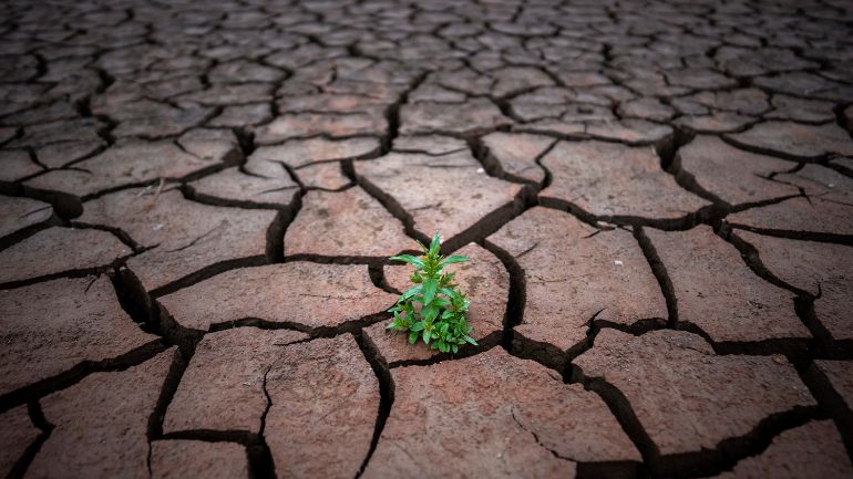 Σοβαρή λειψυδρία πλήττει τη Γερμανία – Λαμβάνονται μέτρα εξοικονόμησης νερού