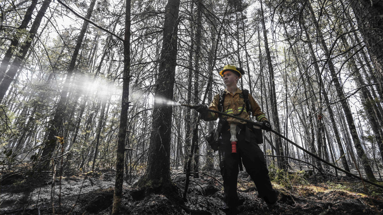 Πυρκαγιές στον Καναδά: Η Νότια Αφρική στέλνει εκατοντάδες πυροσβέστες